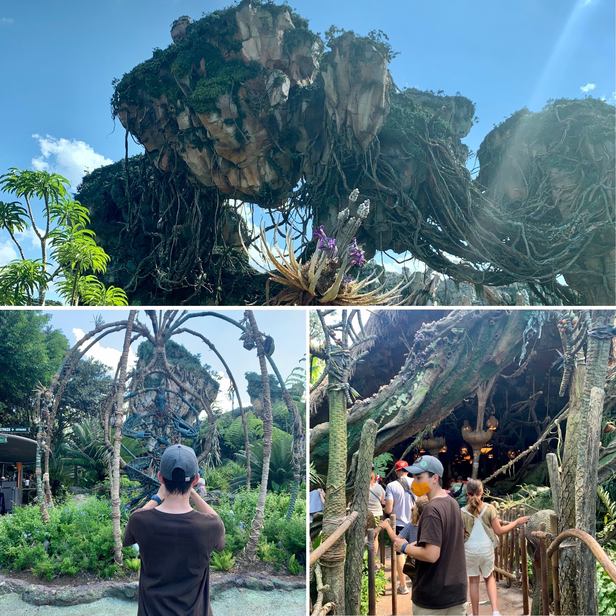 Animal Kingdom